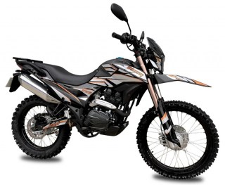 photo_2026-02-13_19-04-02